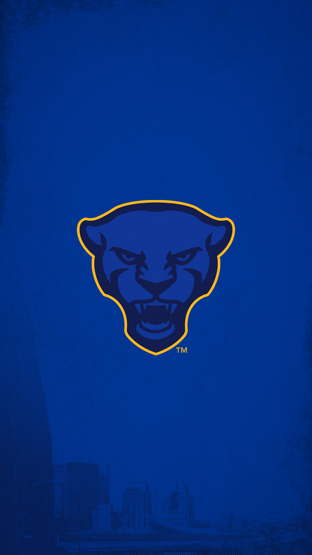 Pittsburgh Panthers Wallpapers Wallpaper Cave