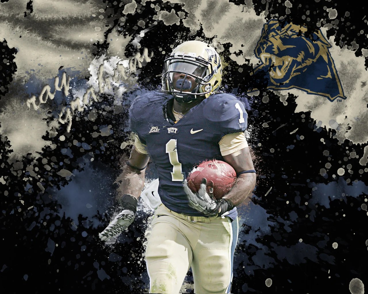Pittsburgh Panthers Wallpapers Wallpaper Cave