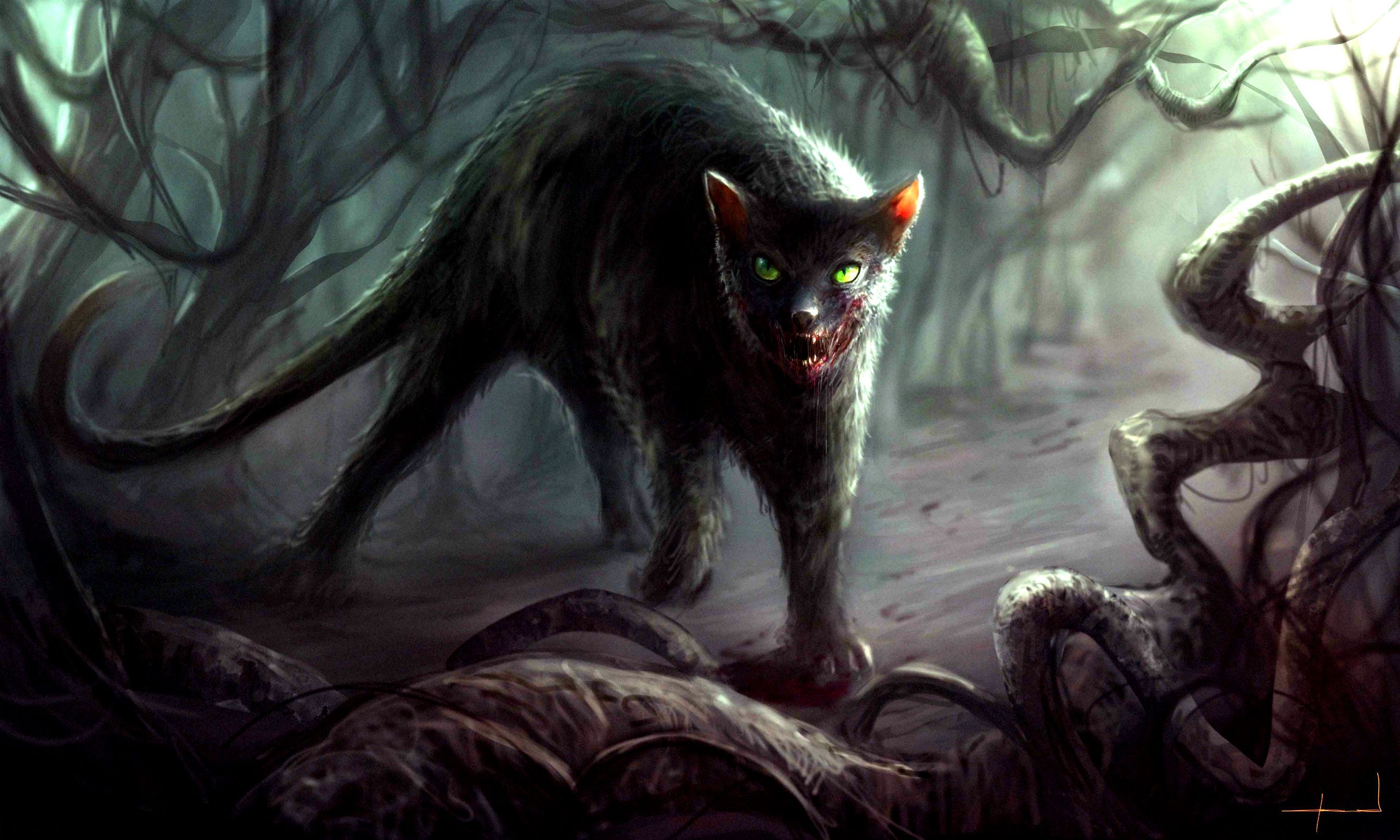 Creepy Cat Wallpapers Wallpaper Cave