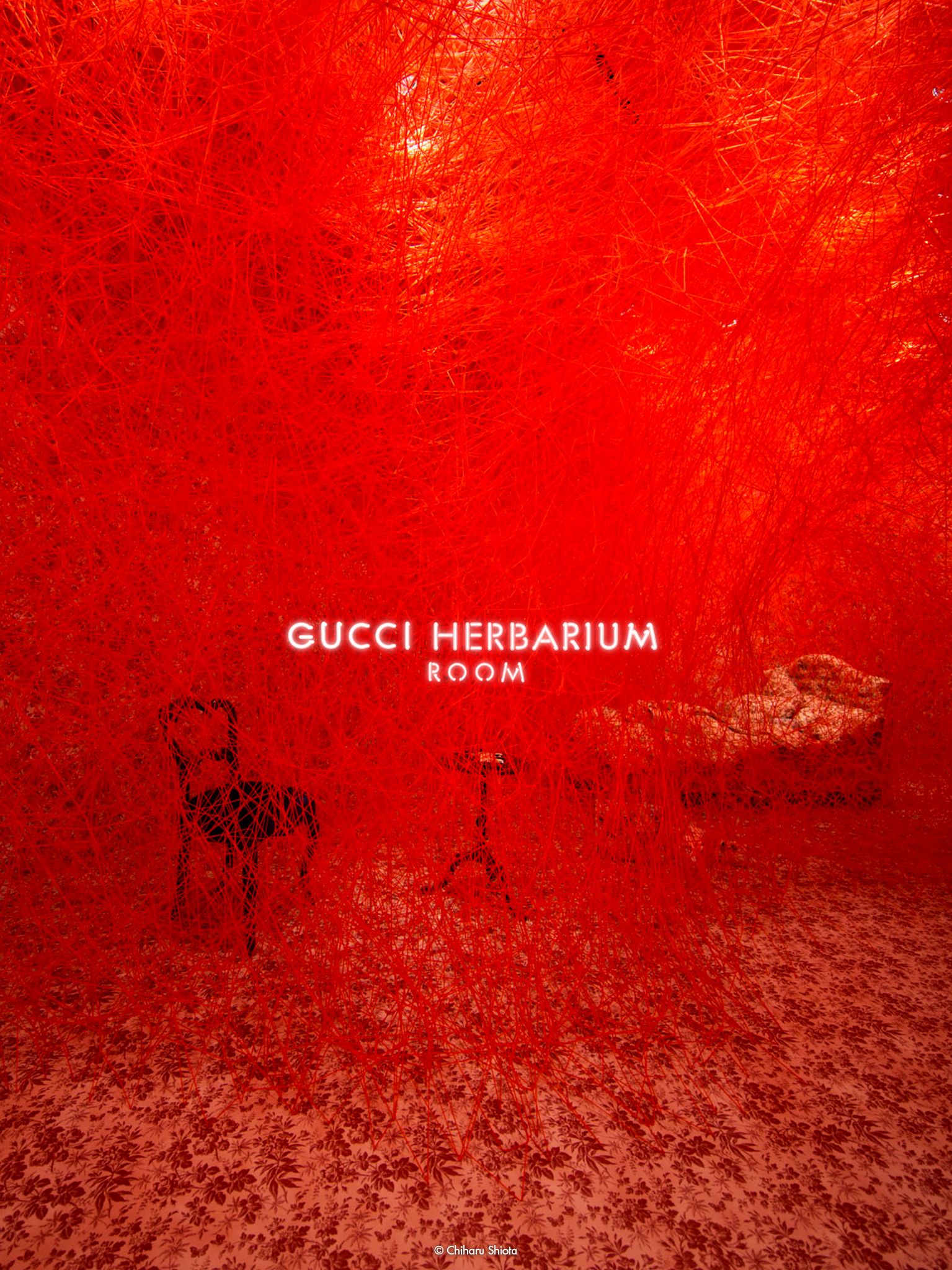 Red Gucci Wallpapers Wallpaper Cave