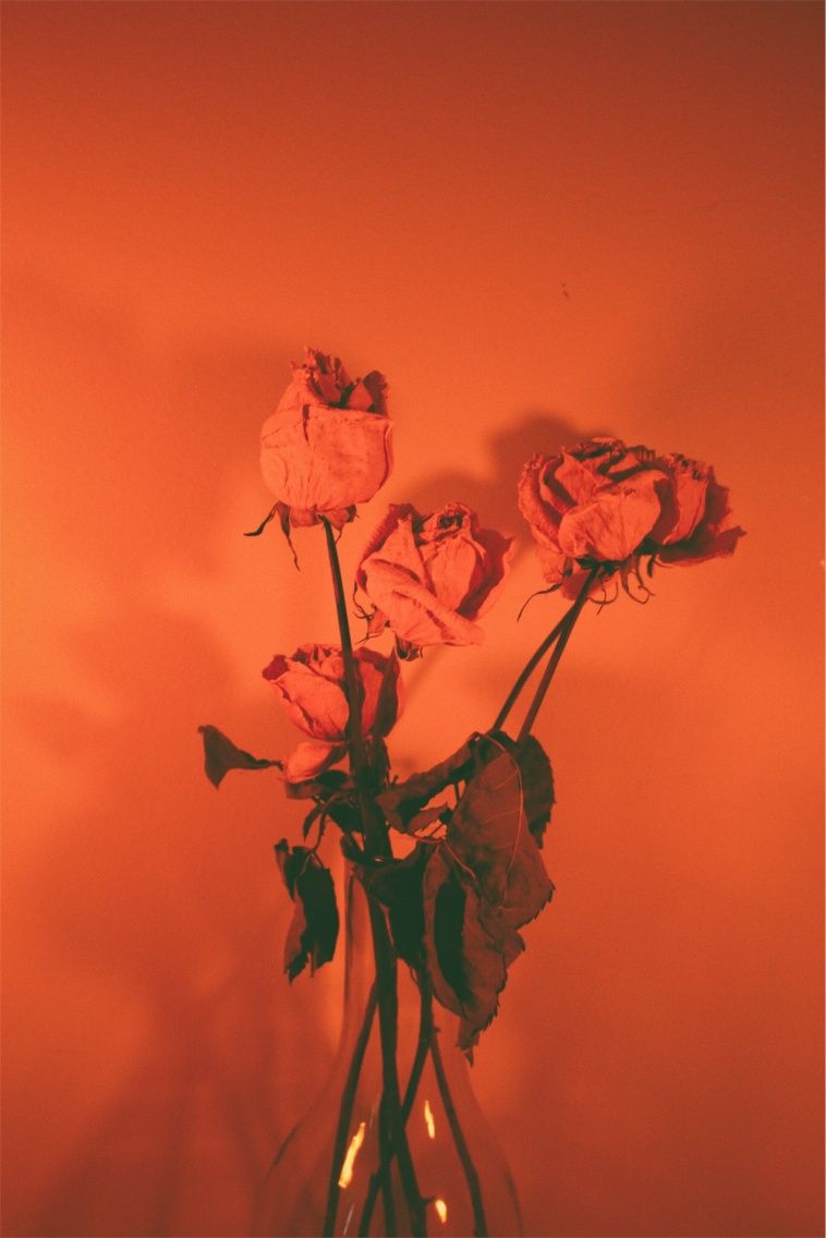 Red Orange Aesthetic Wallpapers Wallpaper Cave