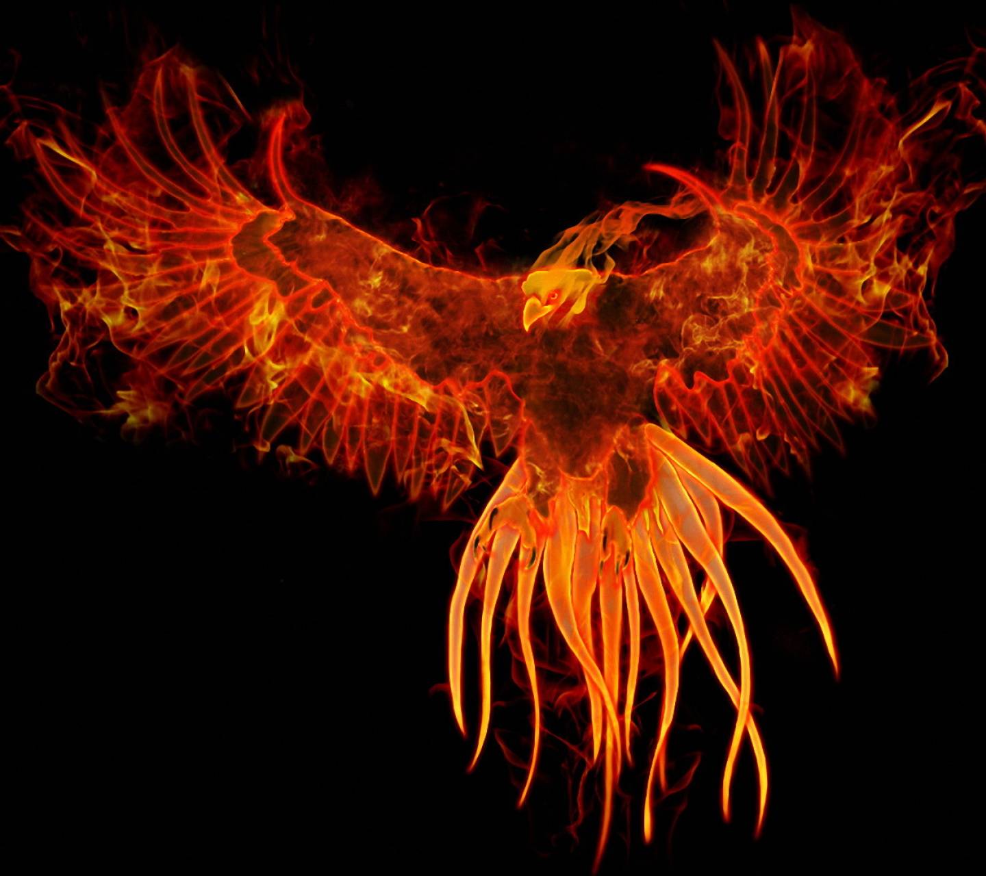 Neon Phoenix Wallpapers Wallpaper Cave