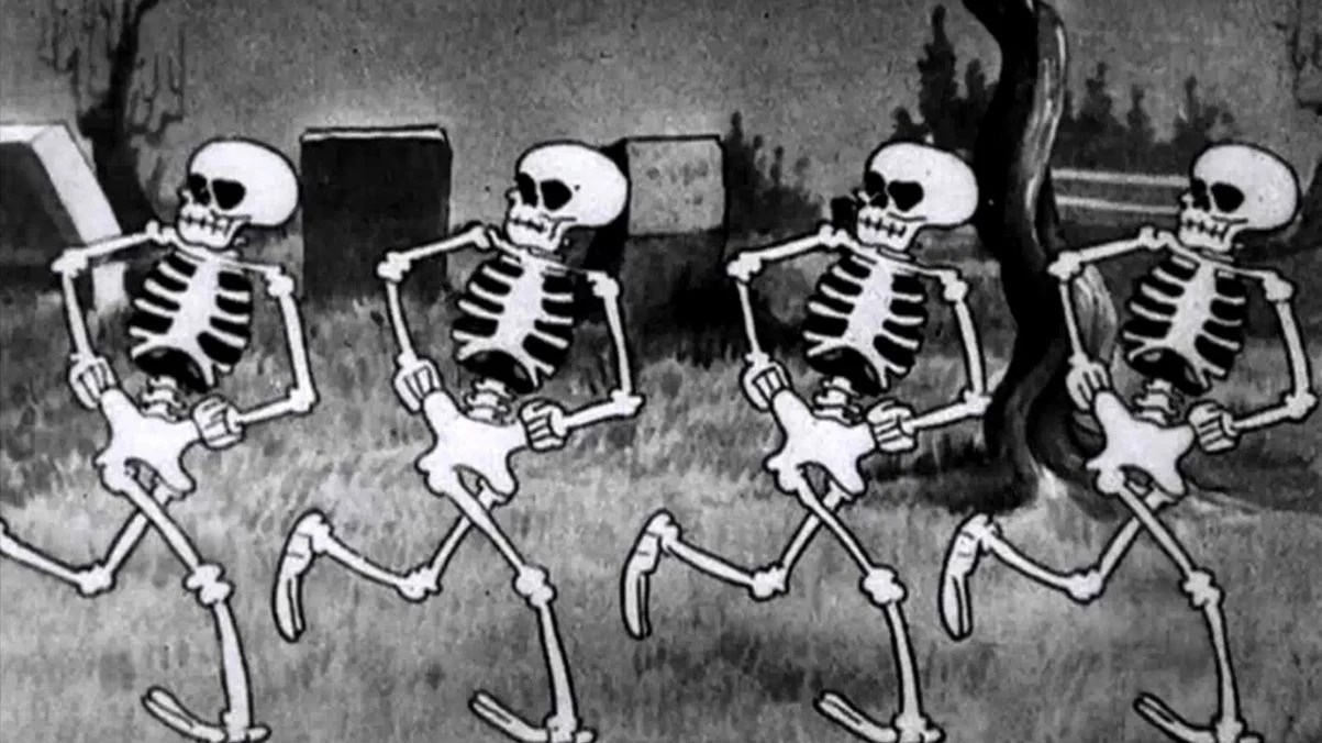 Funny Skeleton Wallpapers Wallpaper Cave