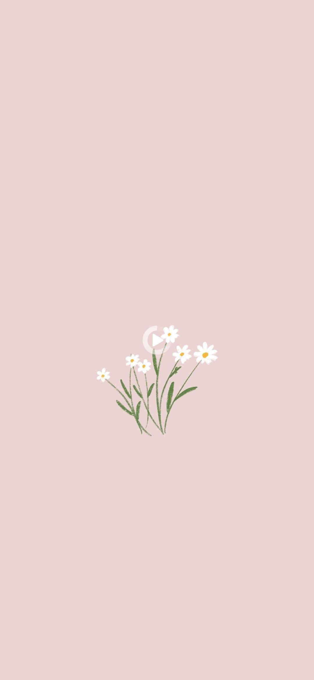 Minimal Flower HD Wallpapers Wallpaper Cave