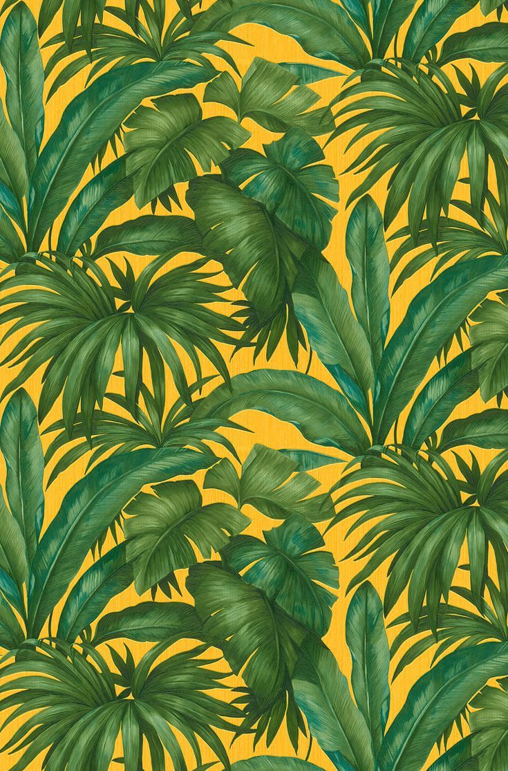 Yellow Green Leaves HD Wallpapers Wallpaper Cave