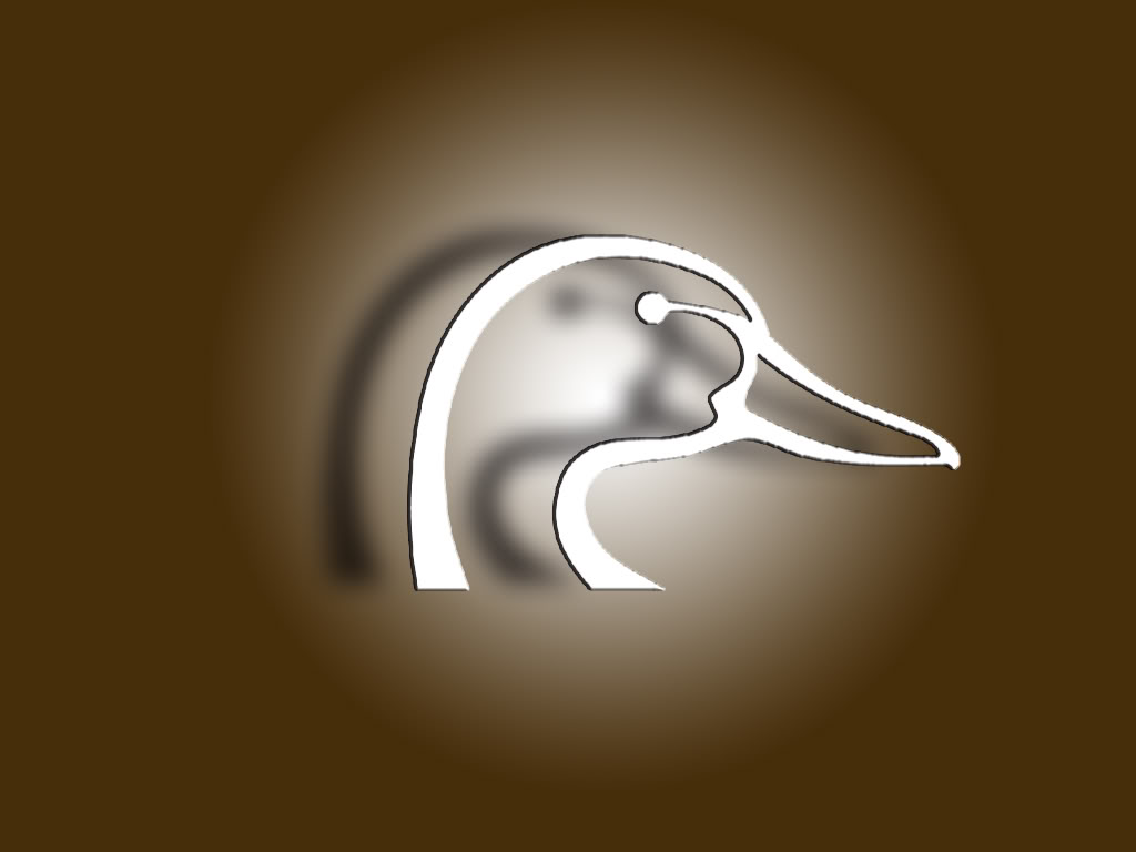 Ducks Unlimited Wallpapers Wallpaper Cave