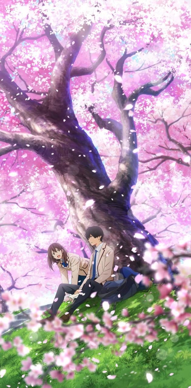 I Want To Eat Your Pancreas iPhone Wallpapers Wallpaper Cave