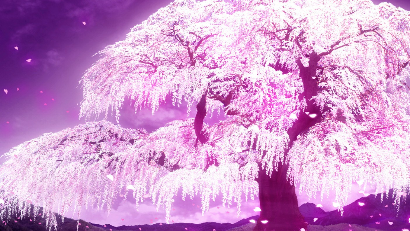 Anime Flower Tree Wallpapers Wallpaper Cave