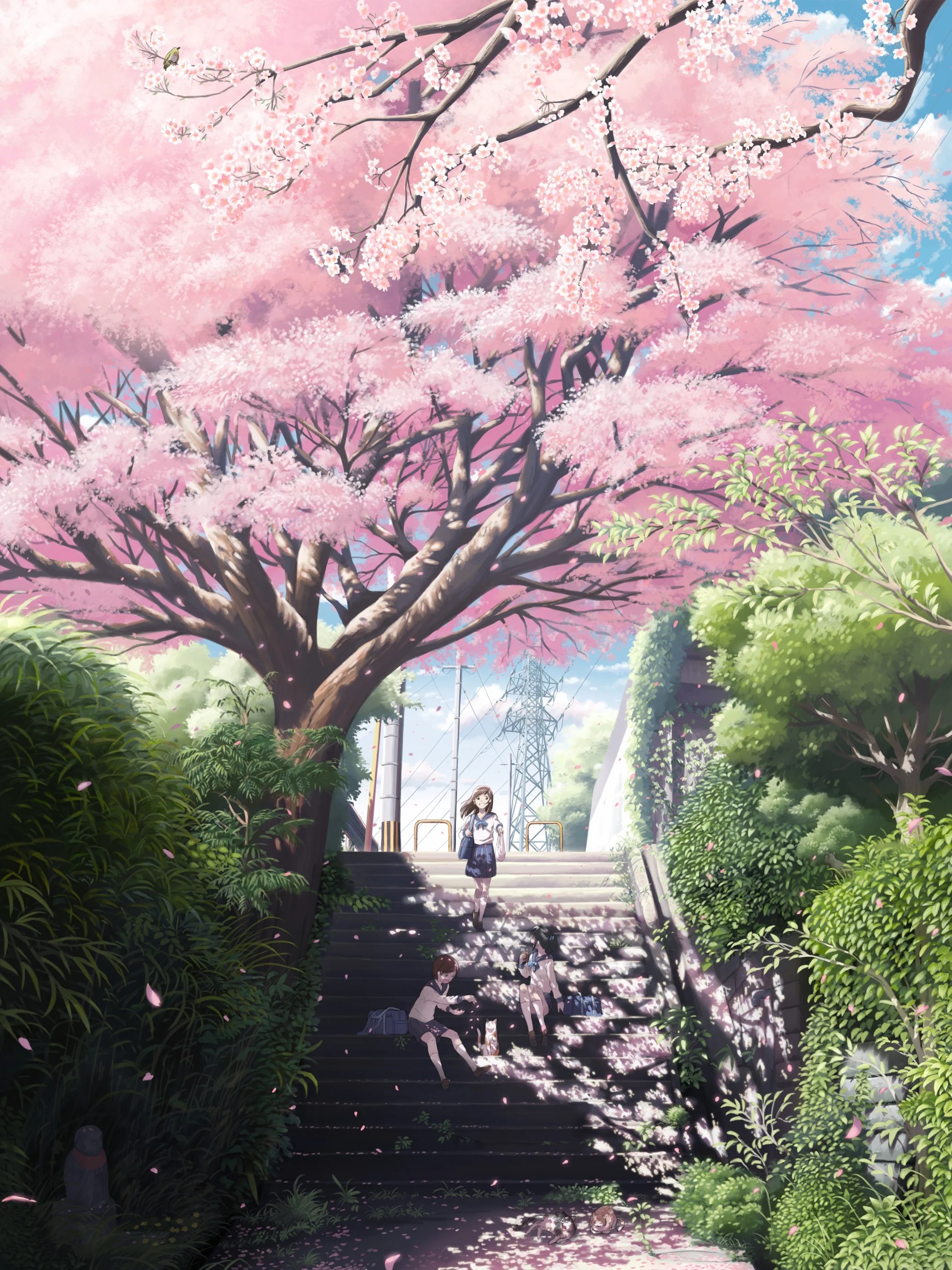 Anime Flower Tree Wallpapers Wallpaper Cave