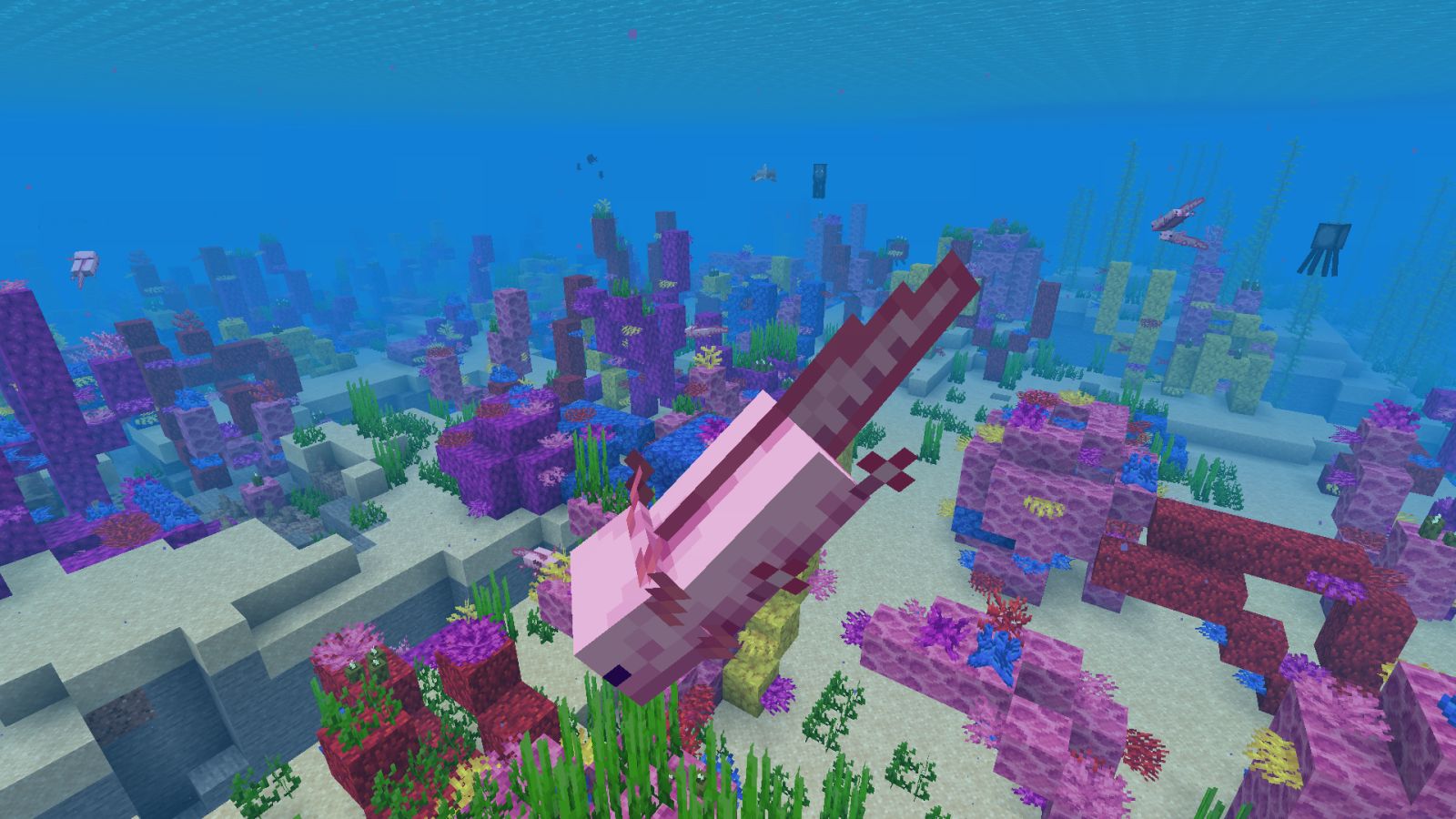 Axolotl Minecraft Wallpapers Wallpaper Cave