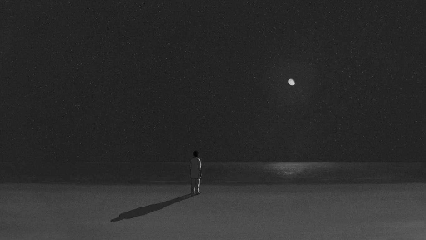 The Red Turtle Wallpapers Wallpaper Cave