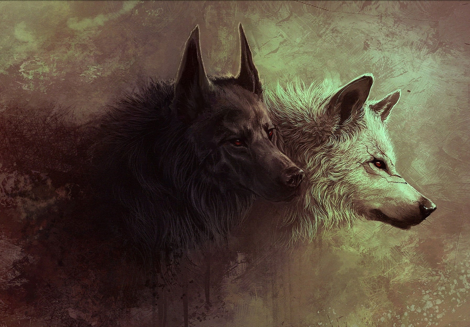 Wolf And Fox Wallpapers Wallpaper Cave
