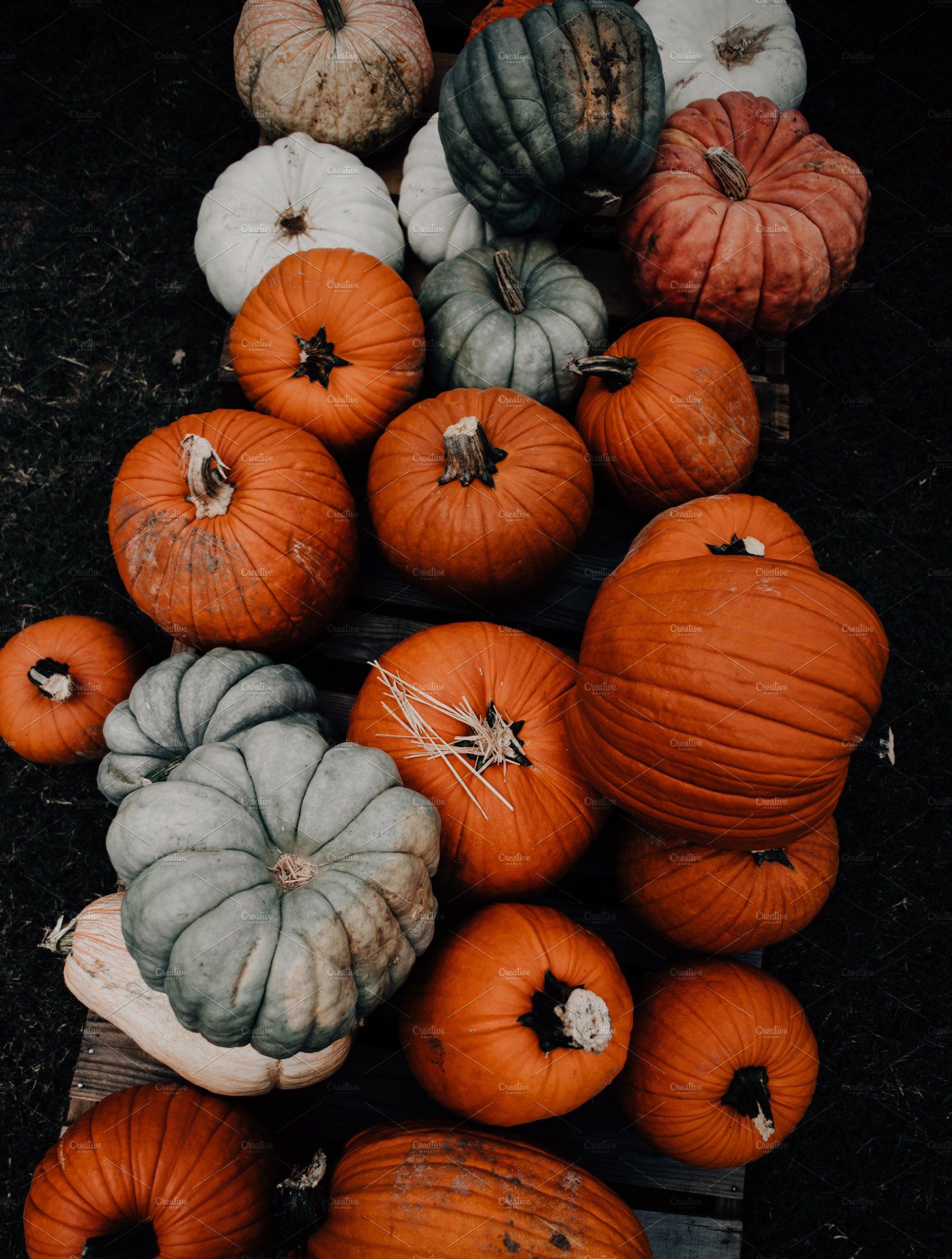 Pumpkin Autumn iPhone Wallpapers Wallpaper Cave