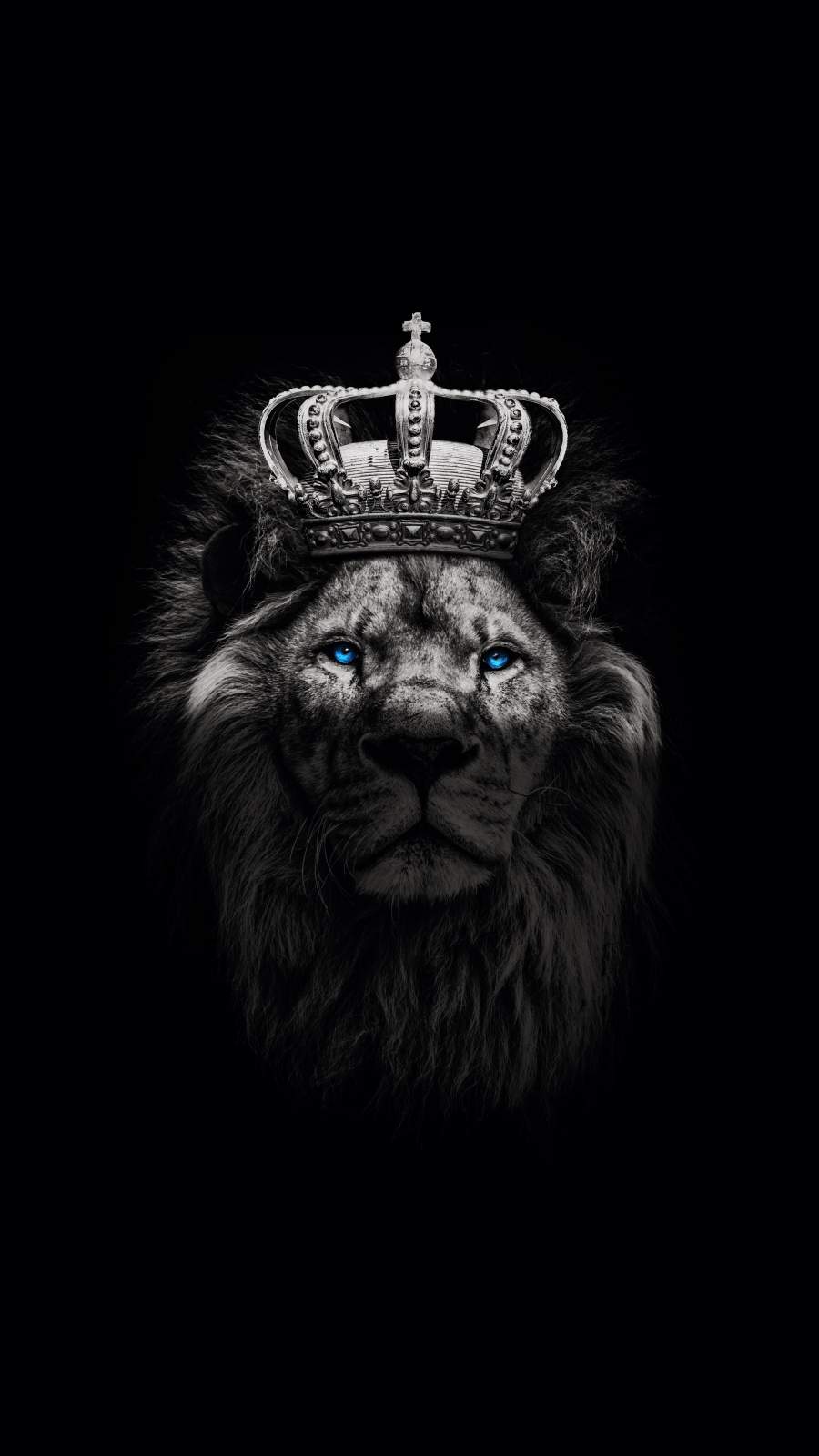 Crown Lion Wallpapers Wallpaper Cave