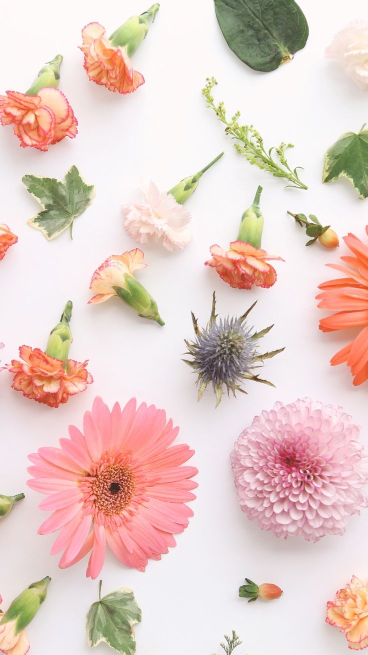 Flower iPhone 11 Wallpapers Wallpaper Cave