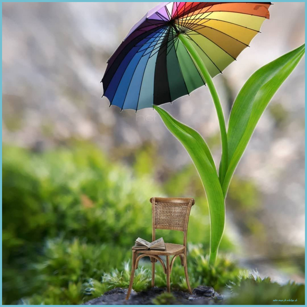 Cute WhatsApp DP Wallpapers Wallpaper Cave