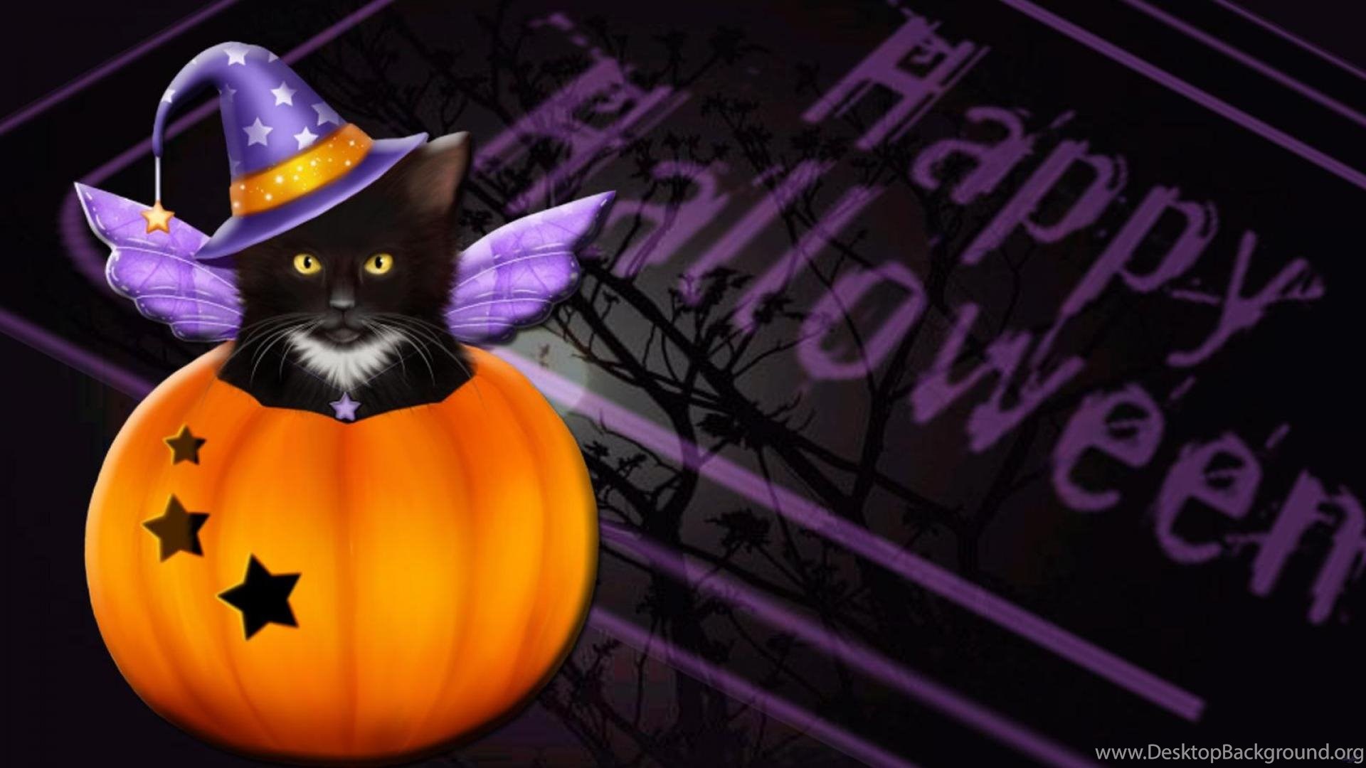 Witch Cat Wallpapers Wallpaper Cave