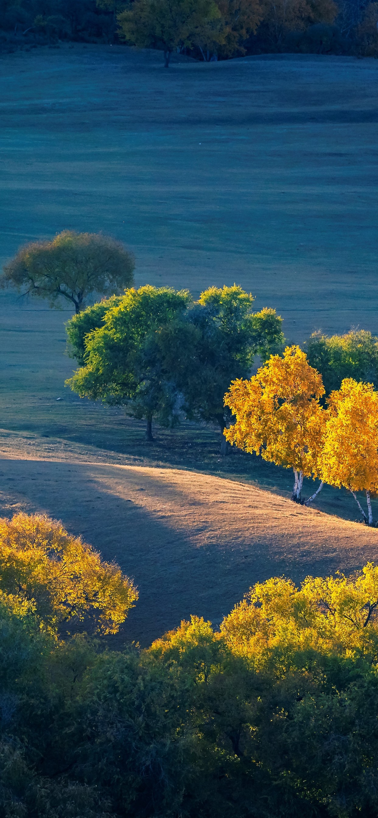 Autumn 11 Pro Max Wallpapers Wallpaper Cave