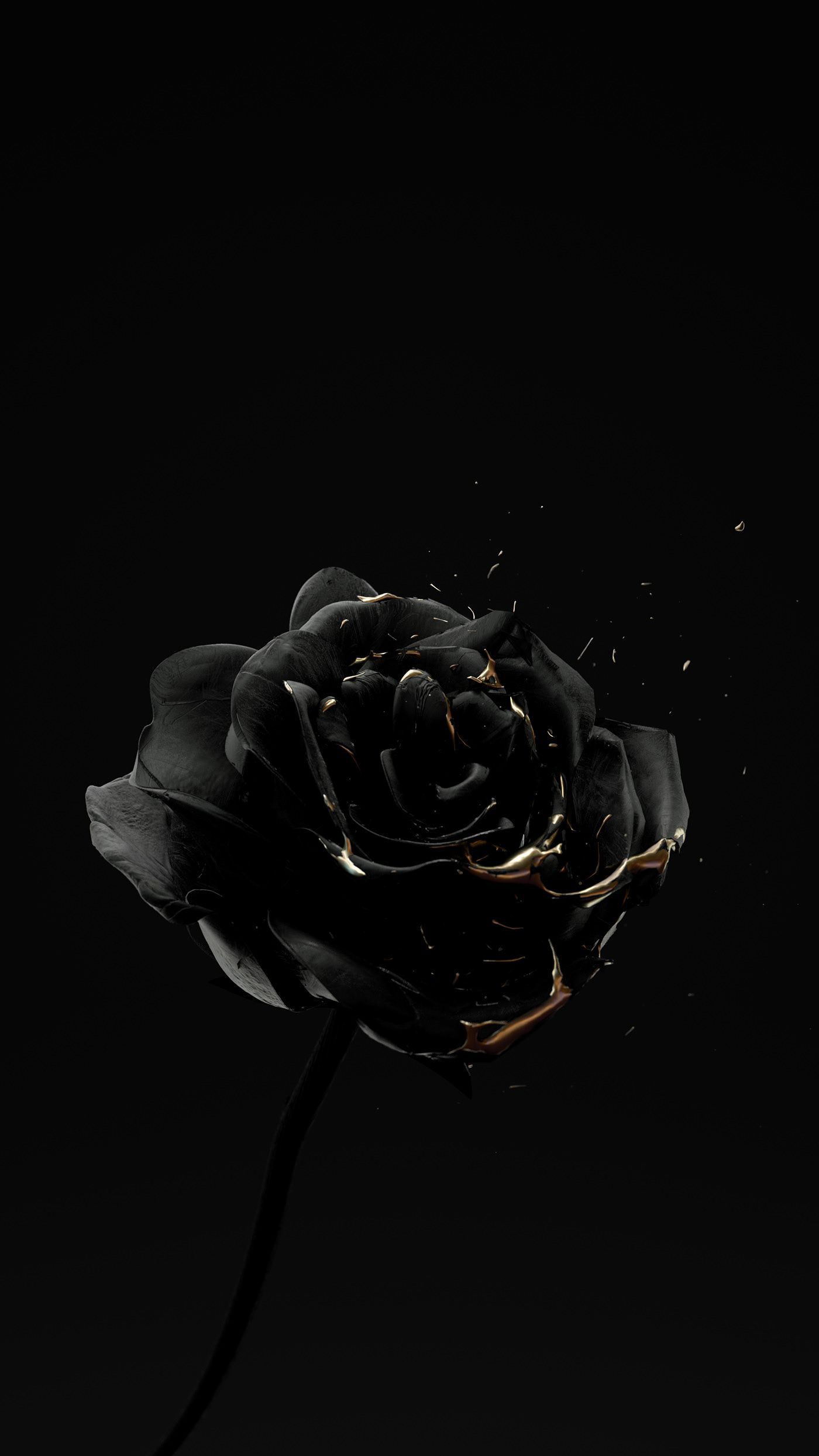 Black Aesthetic Roses Wallpapers Wallpaper Cave