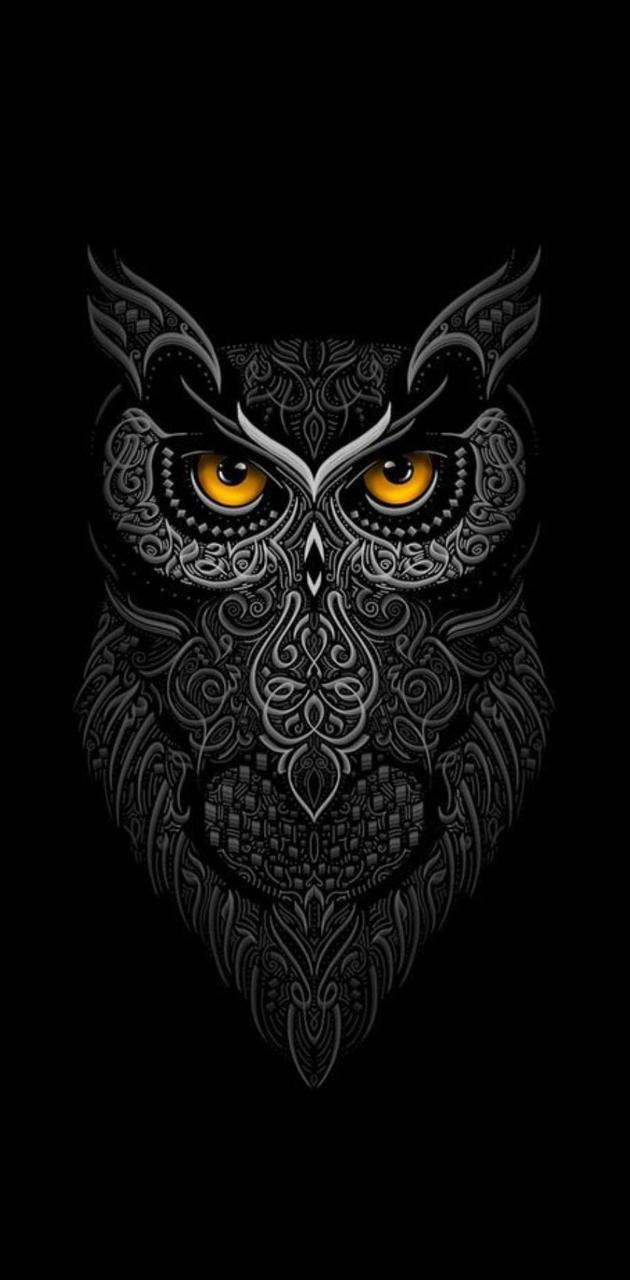 Cool Owl Wallpapers Wallpaper Cave