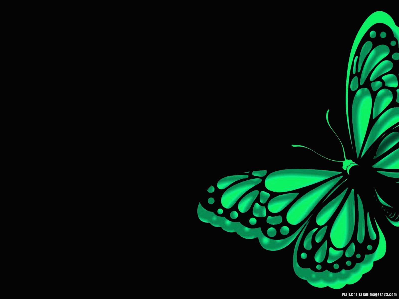 Glowing Butterfly Wallpaper