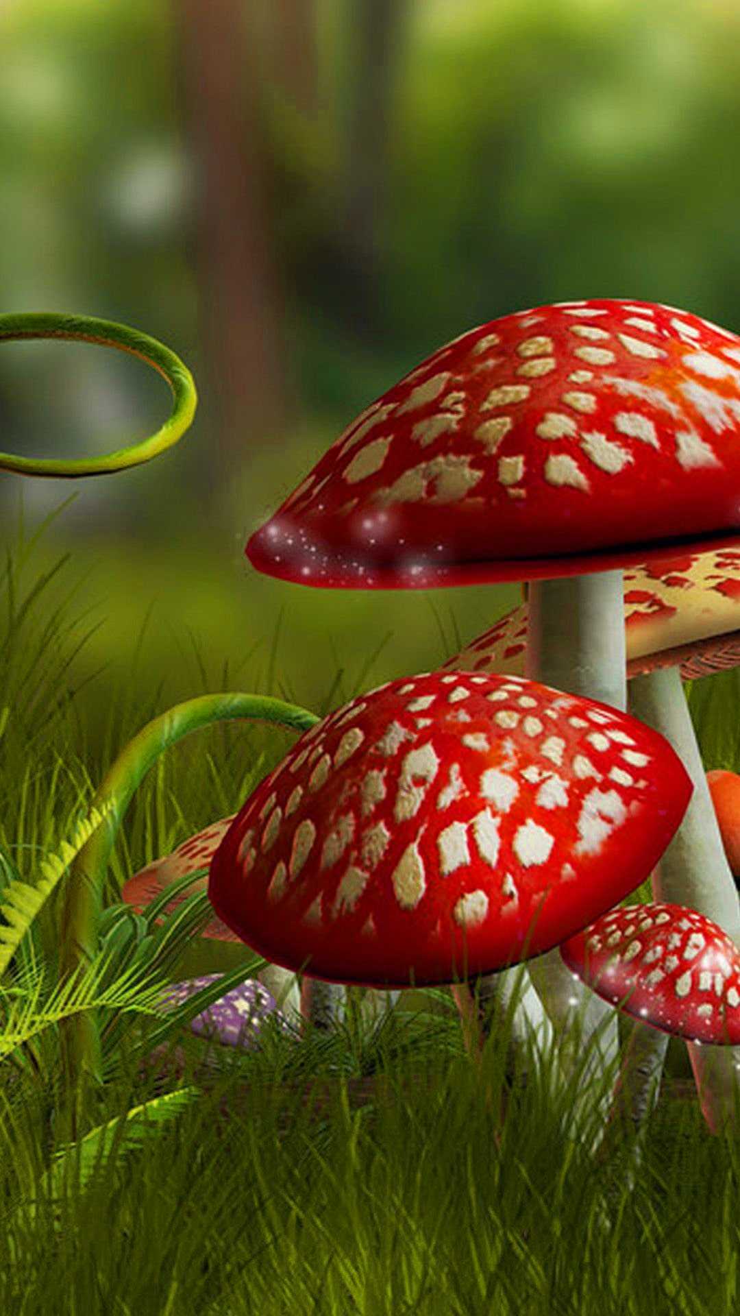 Cute Mushroom Wallpapers Wallpaper Cave