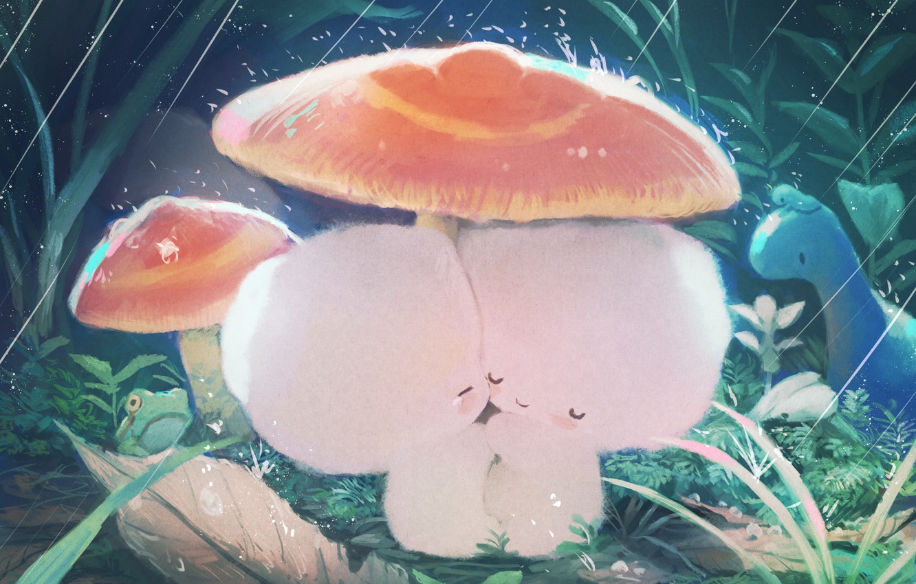 Mushroom Frog Wallpapers Wallpaper Cave