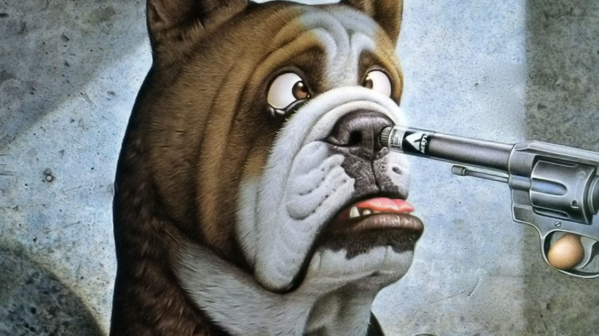 Weird Dogs Wallpapers Wallpaper Cave