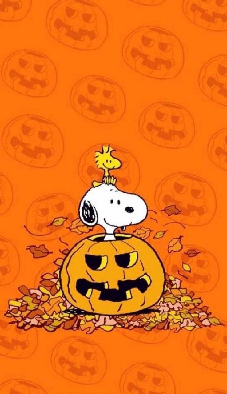 Preppy Halloween Wallpapers Wallpaper Cave
