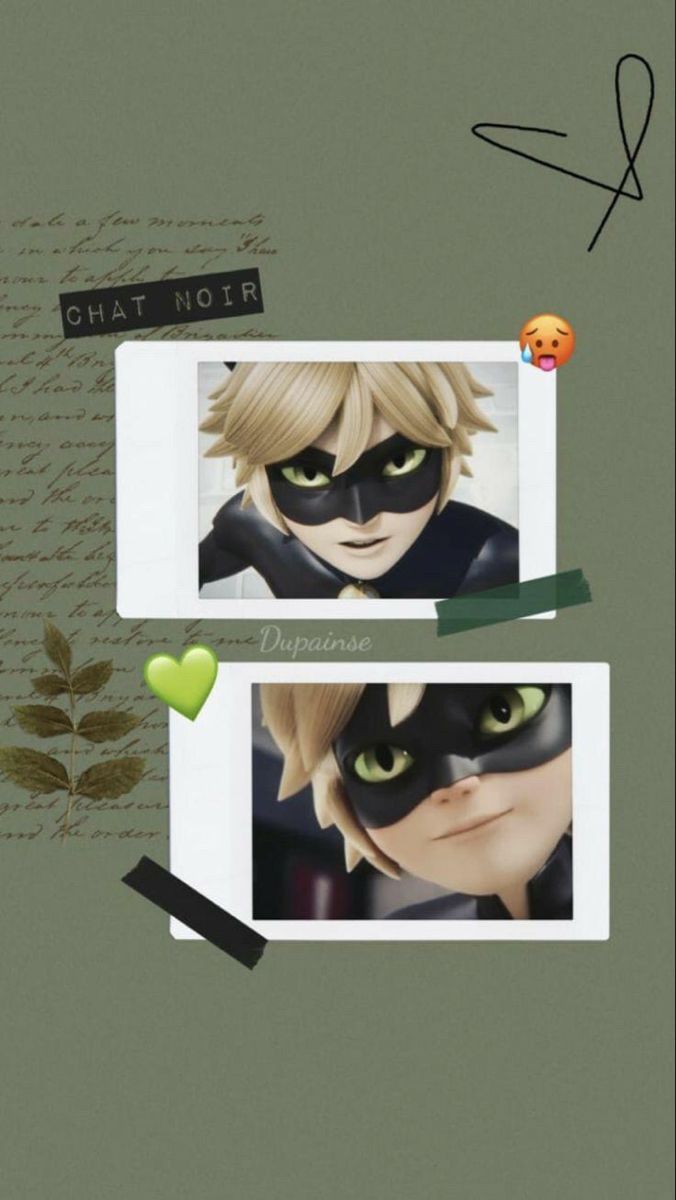 Cat Noir Aesthetic Wallpapers Wallpaper Cave