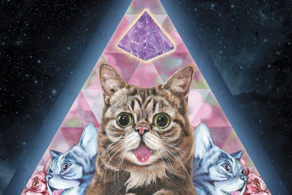 Lil Bub Wallpapers Wallpaper Cave