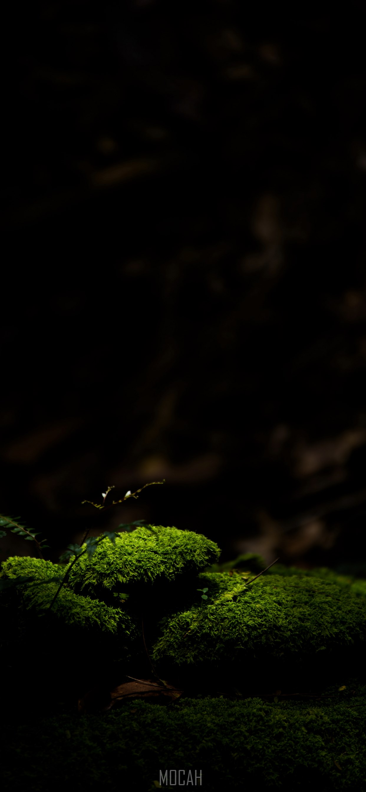 iPhone 11 Pro Dark Wallpapers Wallpaper Cave