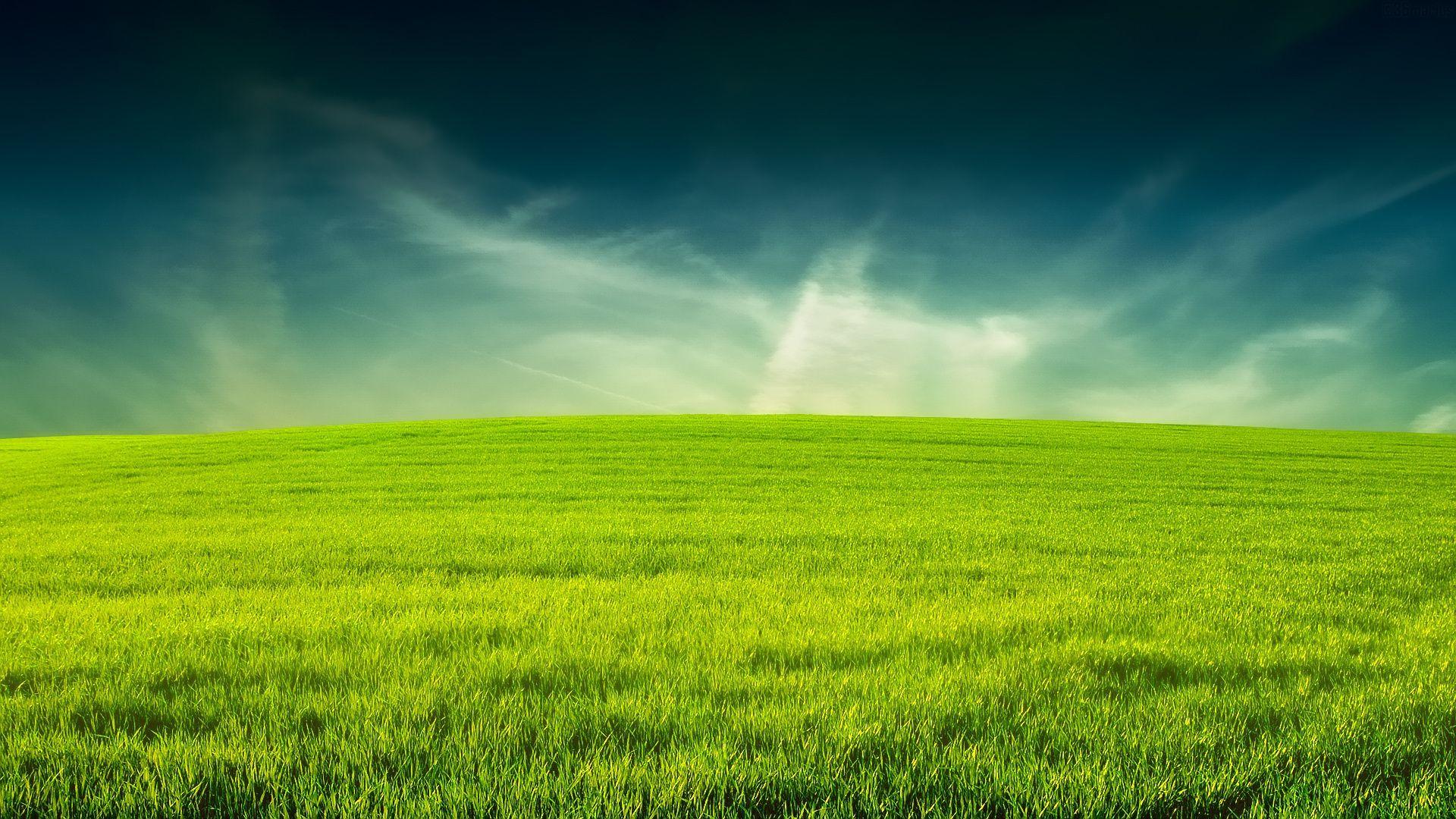 Green Grass Field Wallpapers Wallpaper Cave