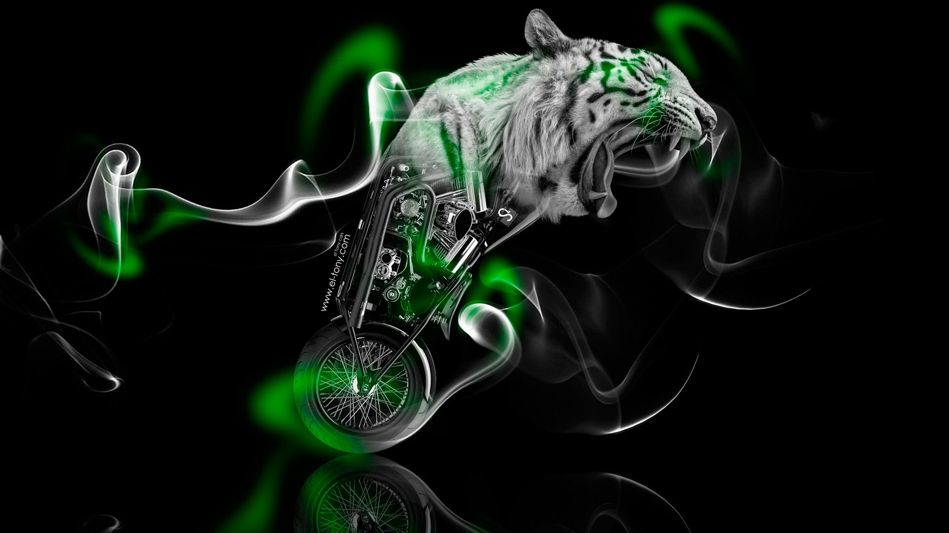 Green Tiger Wallpapers Wallpaper Cave