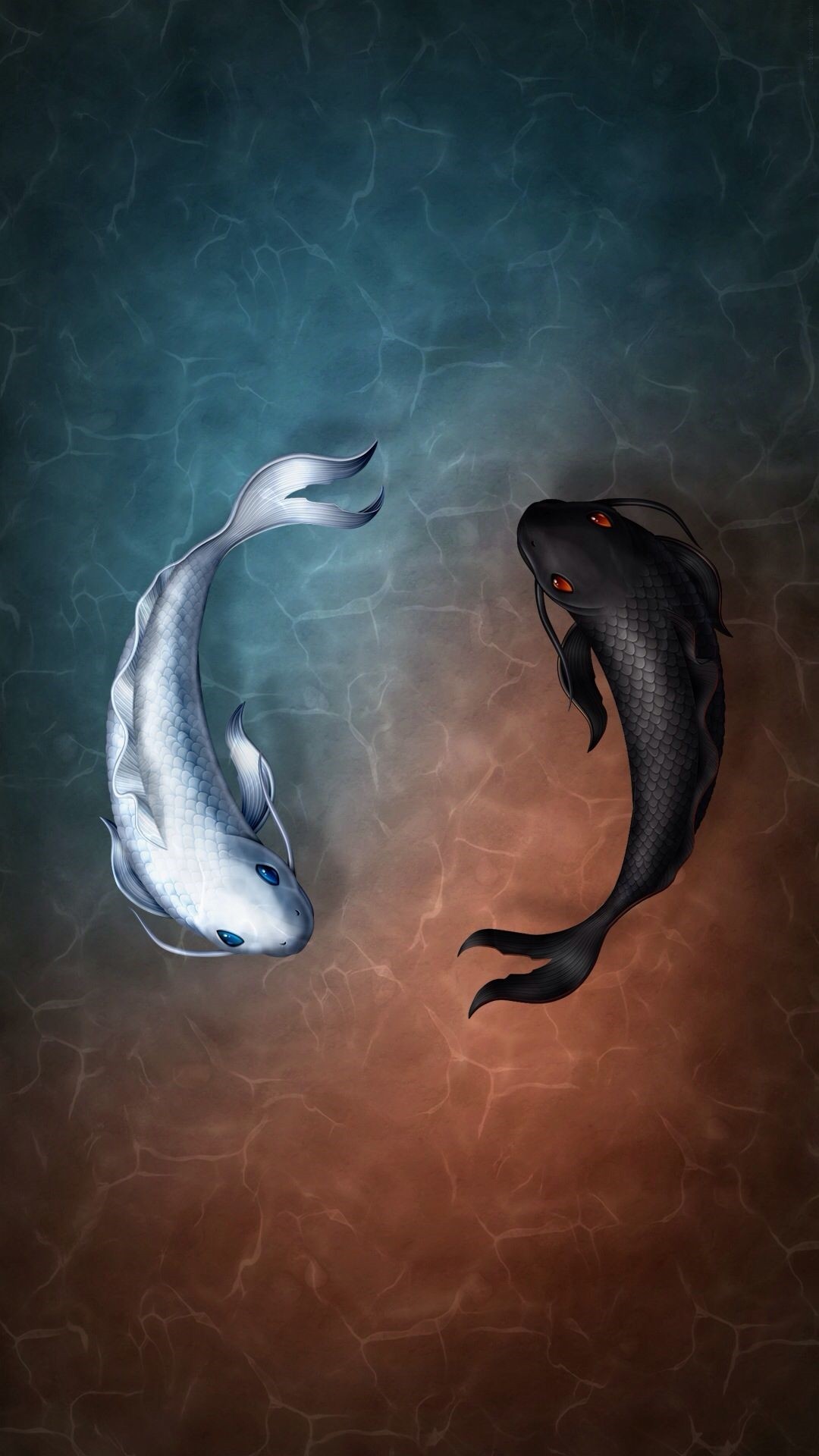 Koi Carp Wallpapers Wallpaper Cave