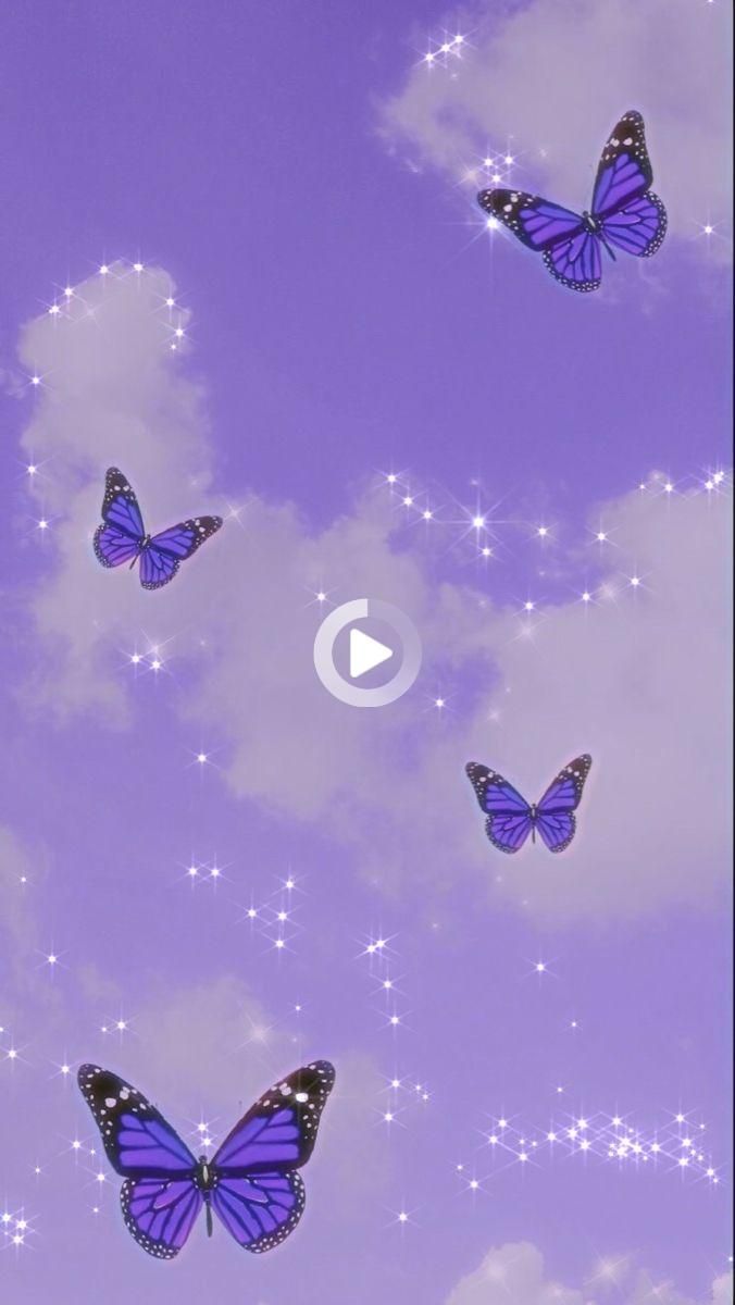 iPhone Purple Butterfly Wallpapers Wallpaper Cave