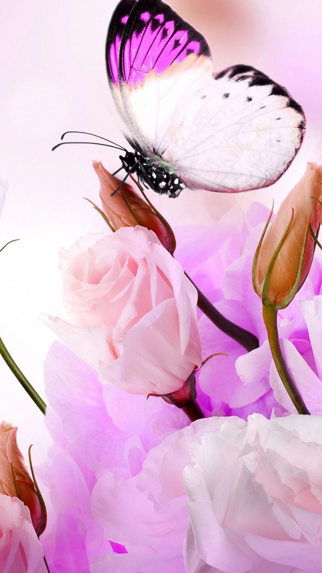 iPhone Purple Butterfly Wallpapers Wallpaper Cave