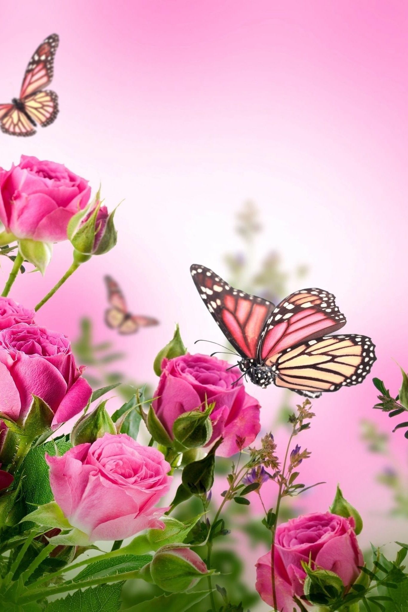 Flowers And Butterfly Aesthetic Wallpapers Wallpaper Cave