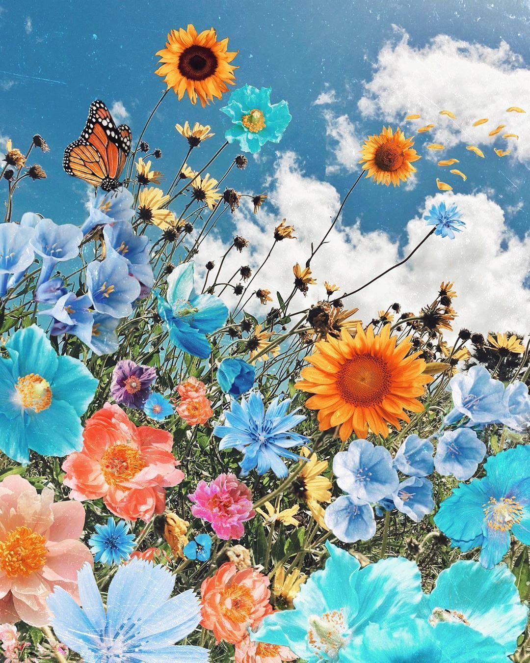 Flowers And Butterfly Aesthetic Wallpapers Wallpaper Cave