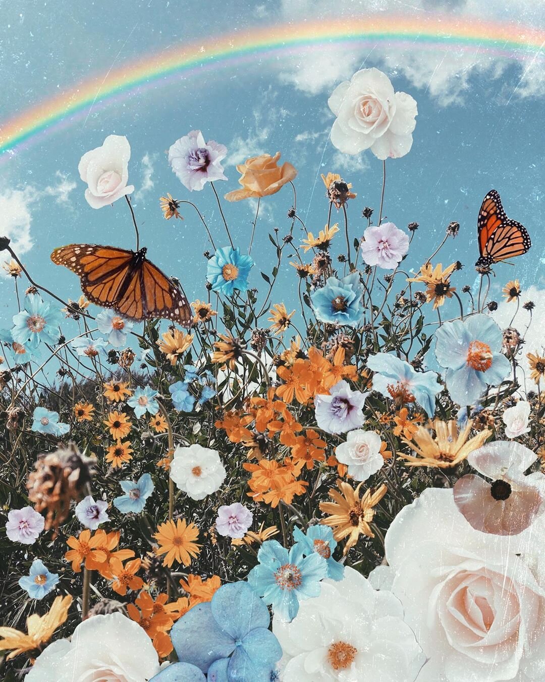 Flowers And Butterfly Aesthetic Wallpapers Wallpaper Cave