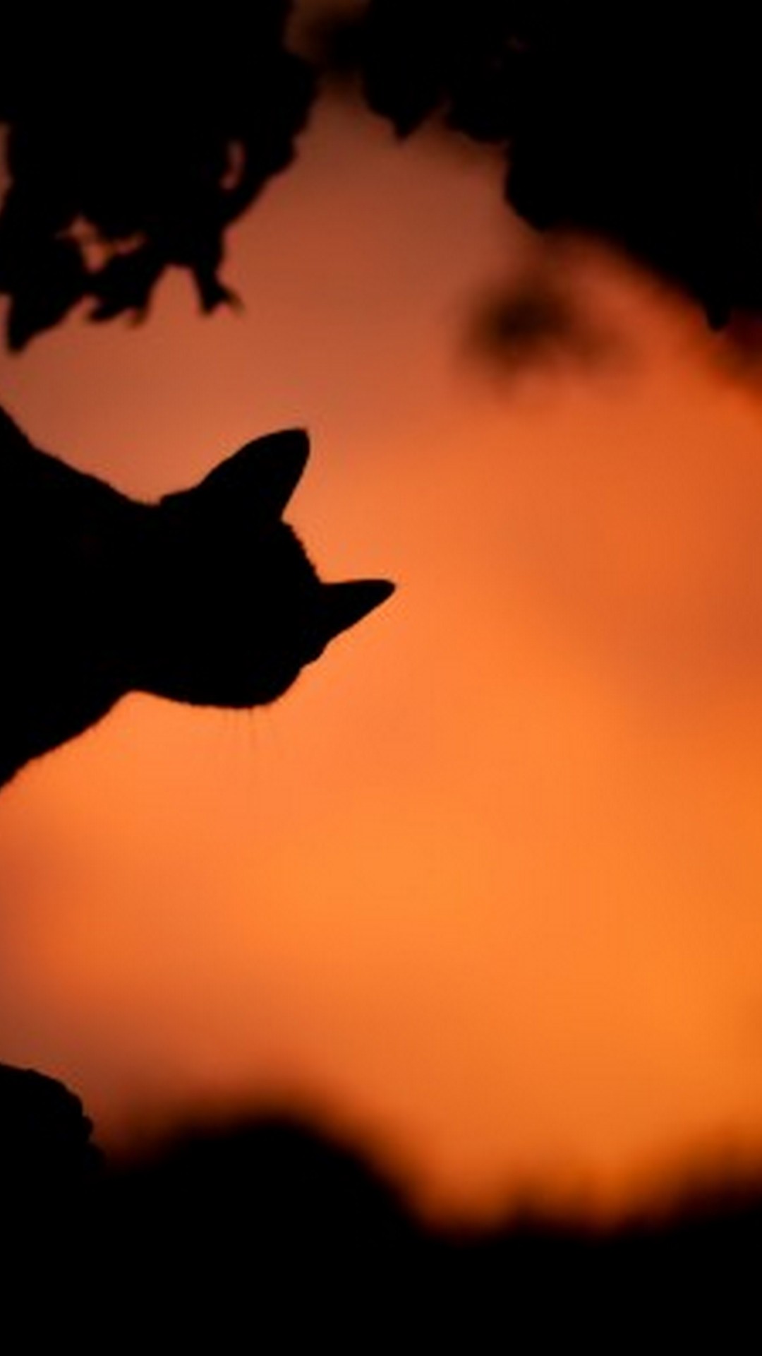 Orange Halloween Aesthetic Wallpapers Wallpaper Cave