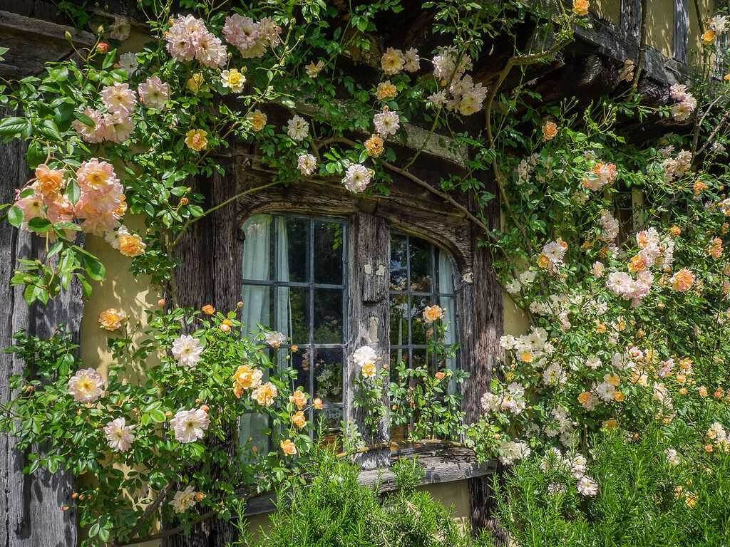 Cottagecore PC Wallpapers Wallpaper Cave