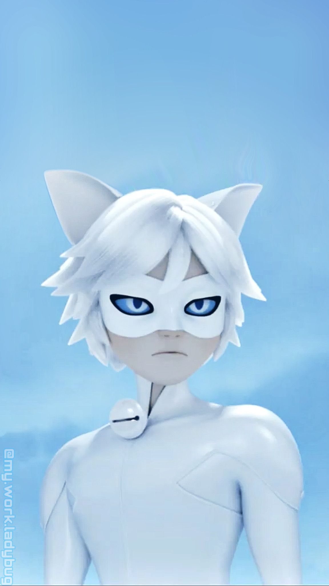 White Cat Noir Wallpapers Wallpaper Cave