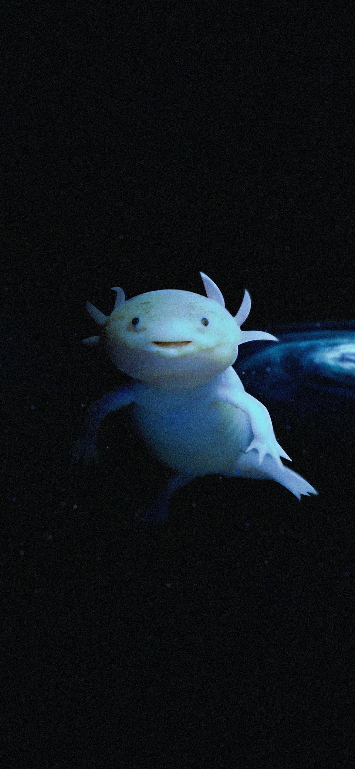 Blue Axolotl Wallpaper