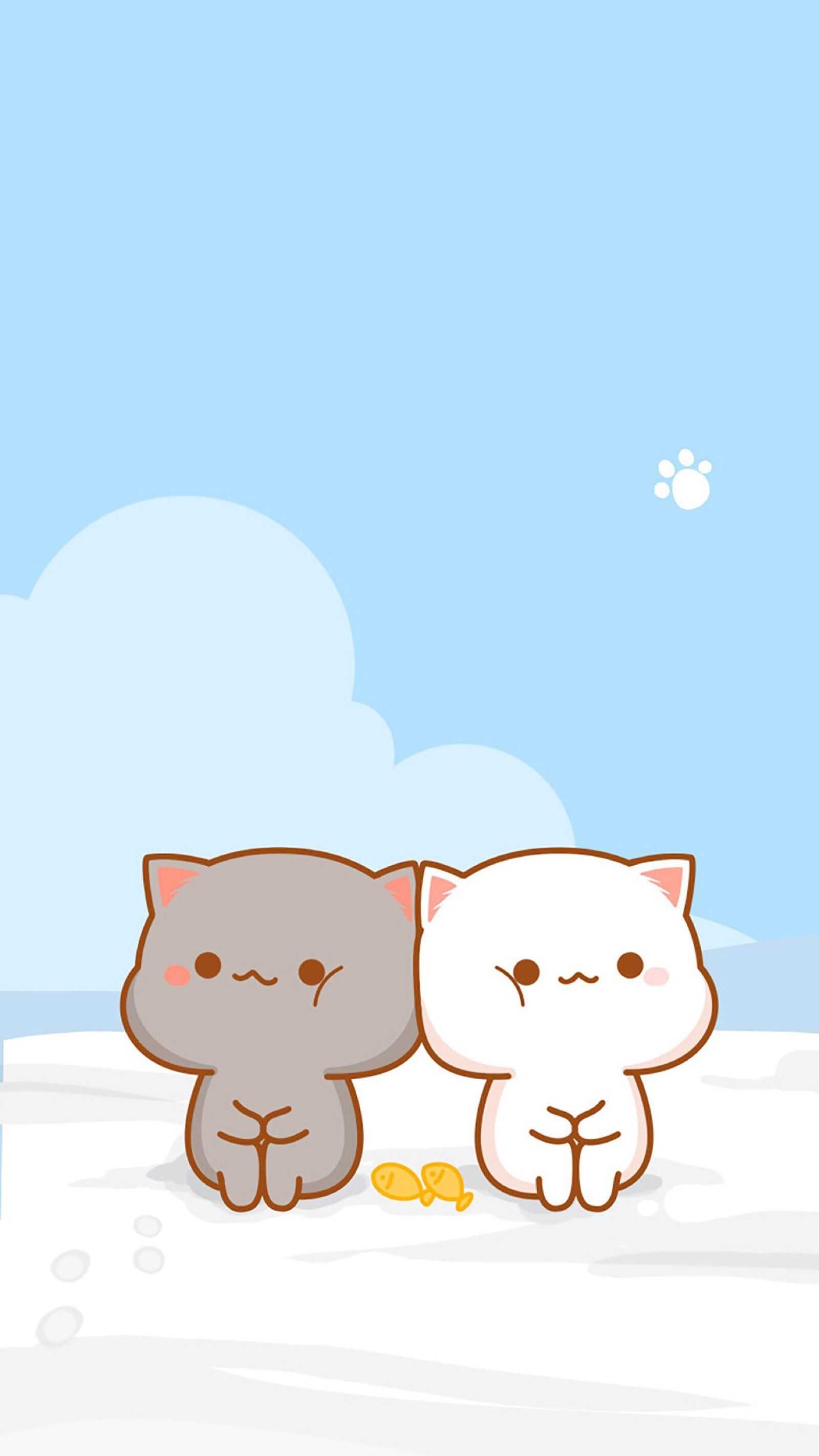 Cat BFF Wallpapers Wallpaper Cave