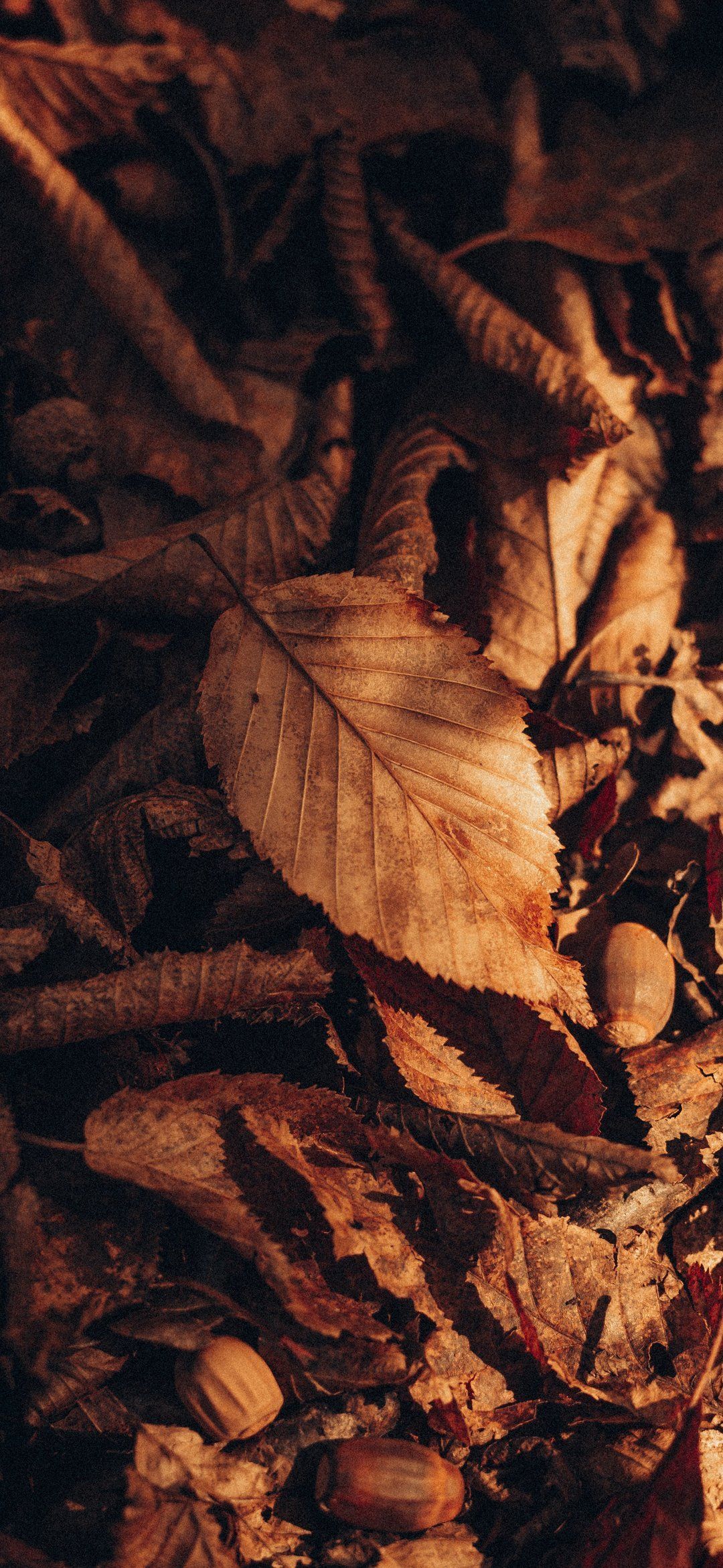 Autumn Cozy Phone Wallpapers Wallpaper Cave