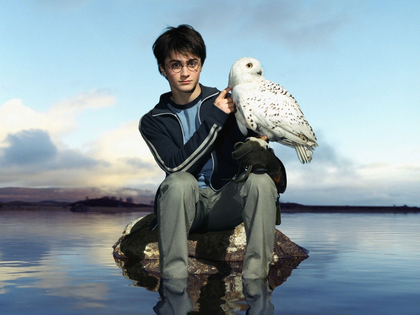 Harry Potter Owl Wallpapers Wallpaper Cave