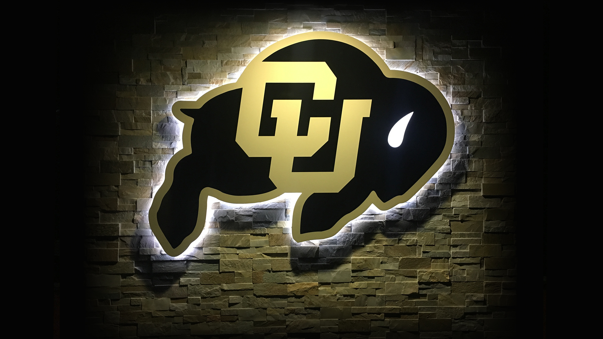 Colorado Buffaloes Wallpapers Wallpaper Cave