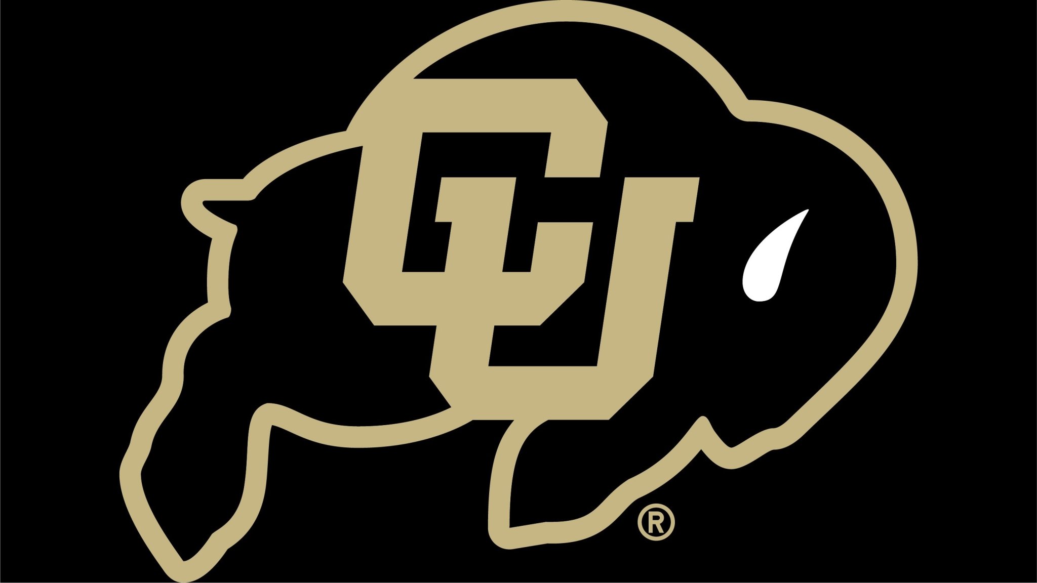 Colorado Buffaloes Wallpapers Wallpaper Cave