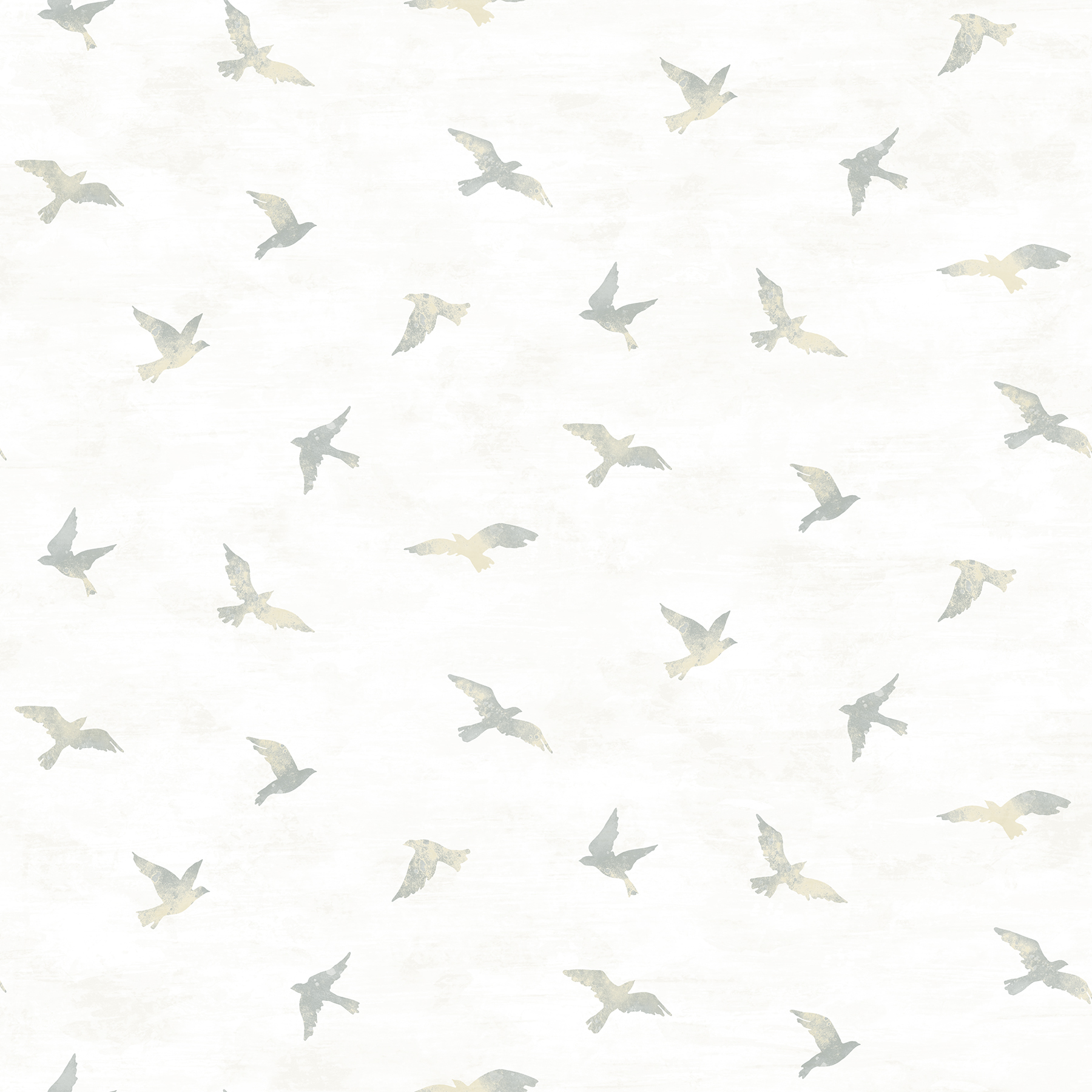 Sparrow Bird Wallpapers Wallpaper Cave